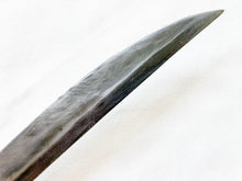 Load image into Gallery viewer, Ginunting Essential Sword #1008 (left-hand draw from right-hip)