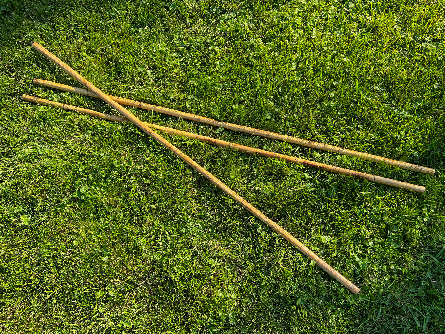 Staff Rattan Sticks (5' - 5'6
