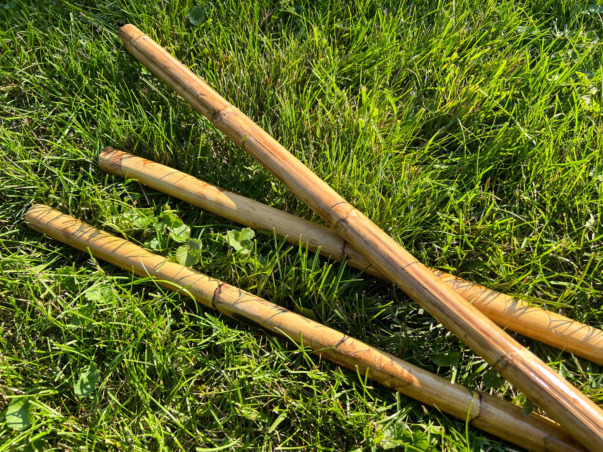 Sticks and Staffs